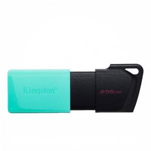 KINGSTON 256GB DATA TRAVELER EXODIA M