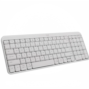 KEYBOARD LOGITECH K251 / WHITE